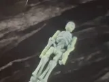 Skeleton figure-0