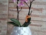 Vaso Almofadado-2