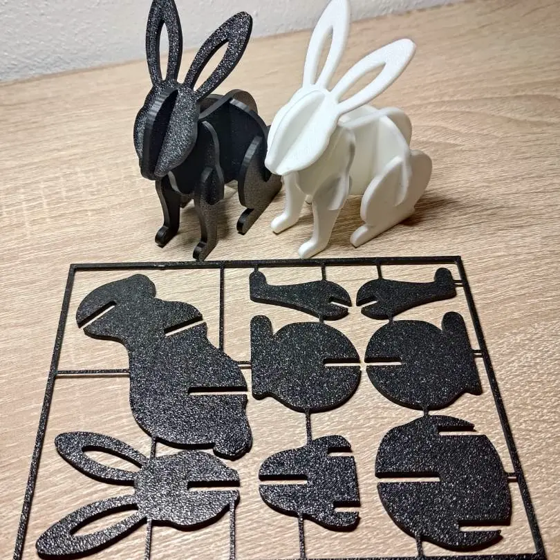 Rabbit Kit Card