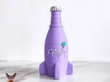 Nuka Bottles- Fallout-5