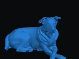 dog-1