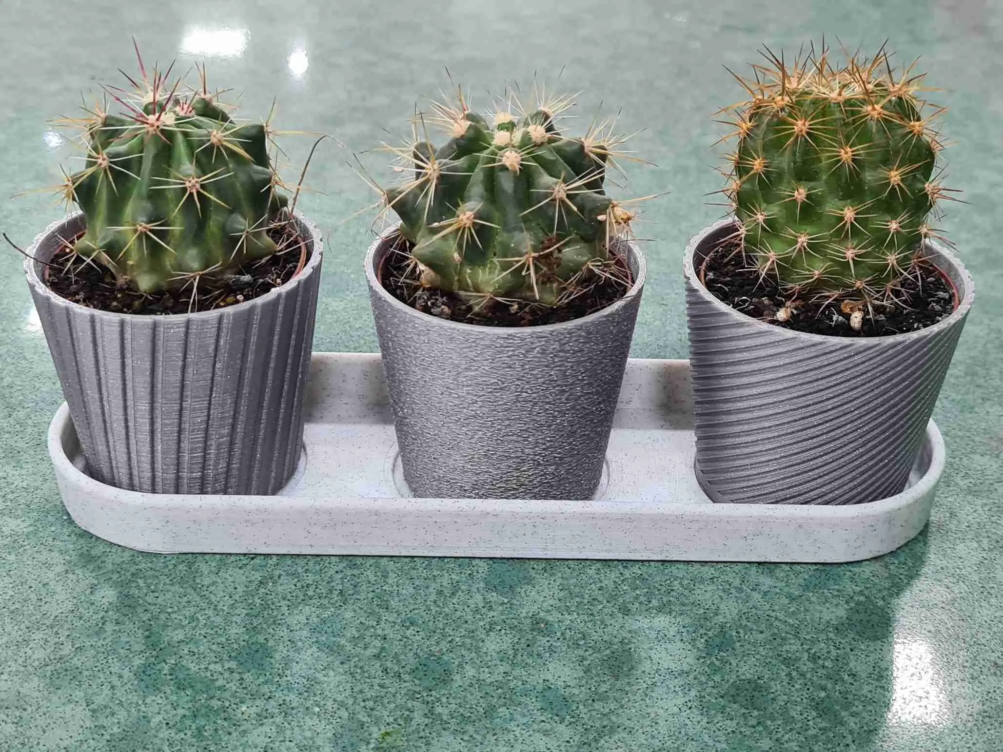 Mini Cactus 3 Planter Set With Tray