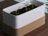 Long minimalist planter-1