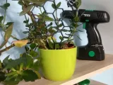 Plant supports with bee pattern-2