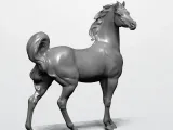 HORSE-0
