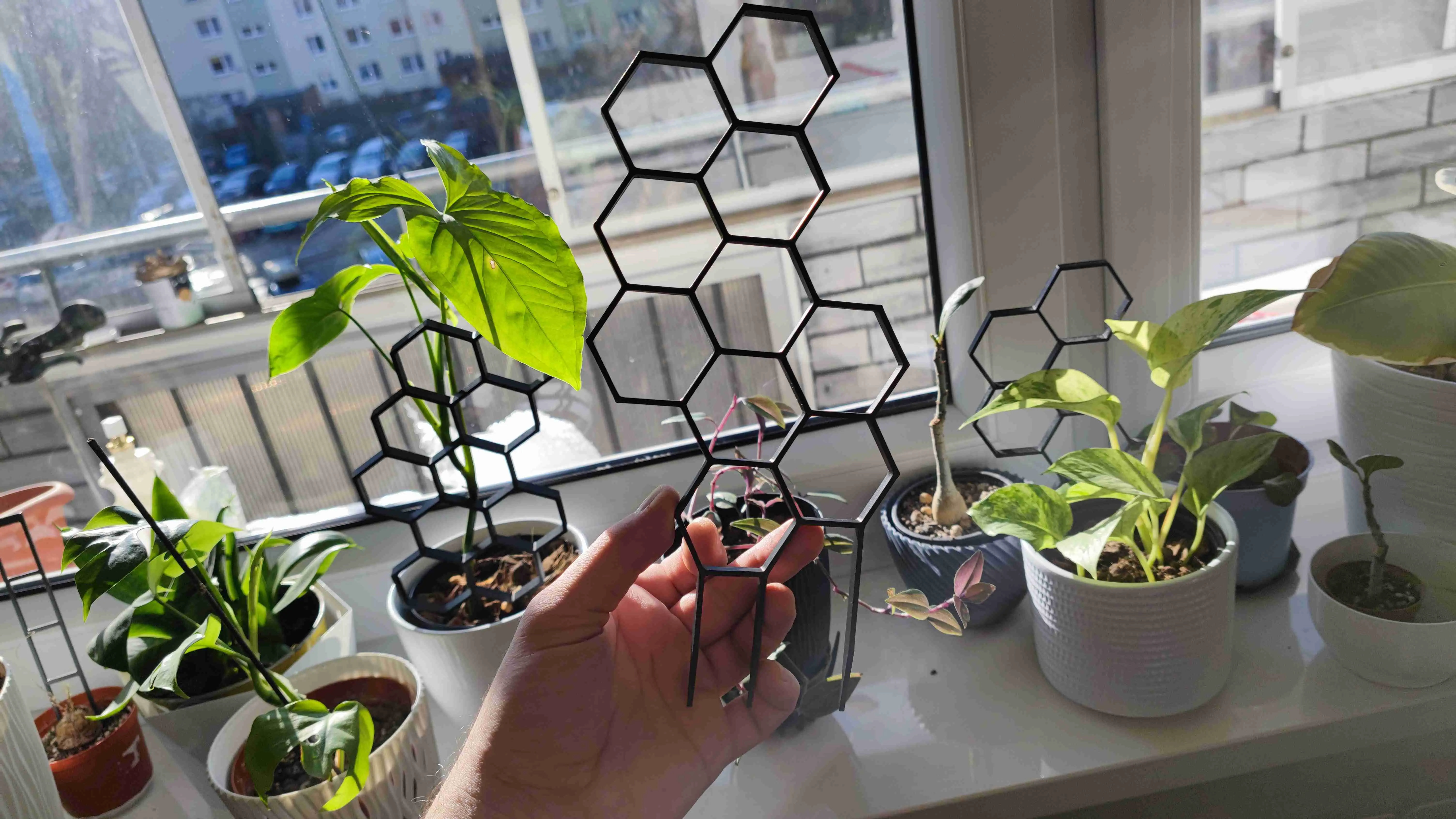 Hexagonal plant support - fast print