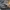 Panzer VI Tiger Ausf. E 1943 (middle) - miniatures warhammer