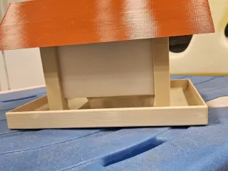 Auto dispensing bird feeder