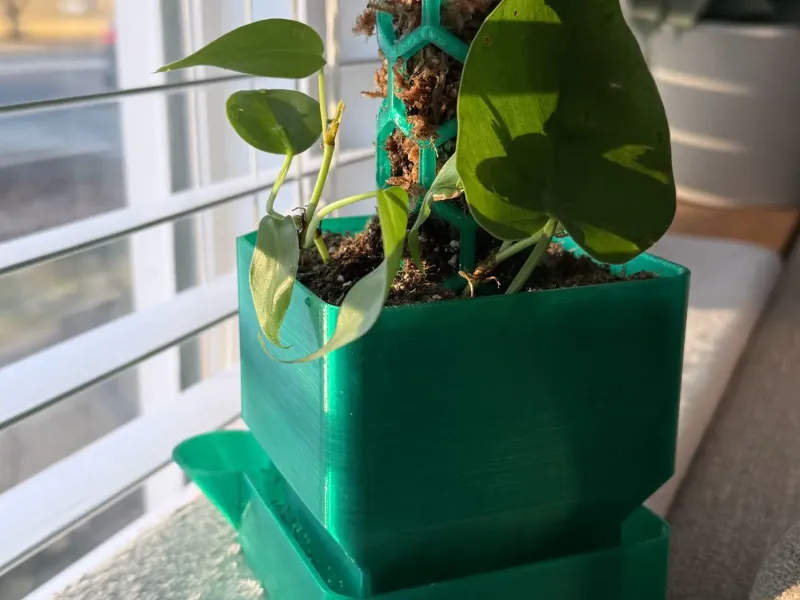 Self Watering Planter with Integrated Moss Pole