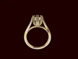Cathedral Engagement Ring-4