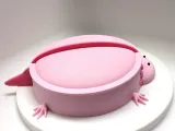 Axolotl Sandbox-3