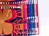 Butterfly Kit Card-2
