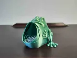 Frosch hält Schmuck (keine Unterstützung)-0