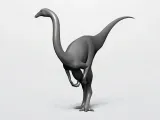 GALLIMIMUS-4