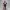 Sister Lumina Prayerveil Glamour Pose Anime Figure