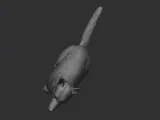 jarman safed dog 3D print model-4