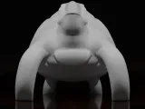 Sea Turtle-1