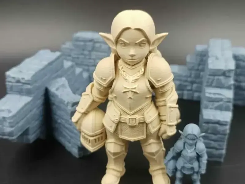 哥布林女孩圣武士 - D&D RPG TTRPG 战棋-DnD