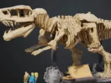 Dinosaur skeleton-0