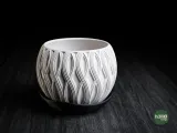 velar • planter-5