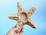 Starfish Tealight Holder-6
