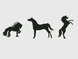 cheval-0