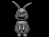 cute rabbit-7