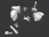 Ground Breaker Skeleton-1
