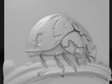 ladybug-0