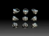 Ring cat-1