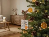 Freches Kätzchen-1