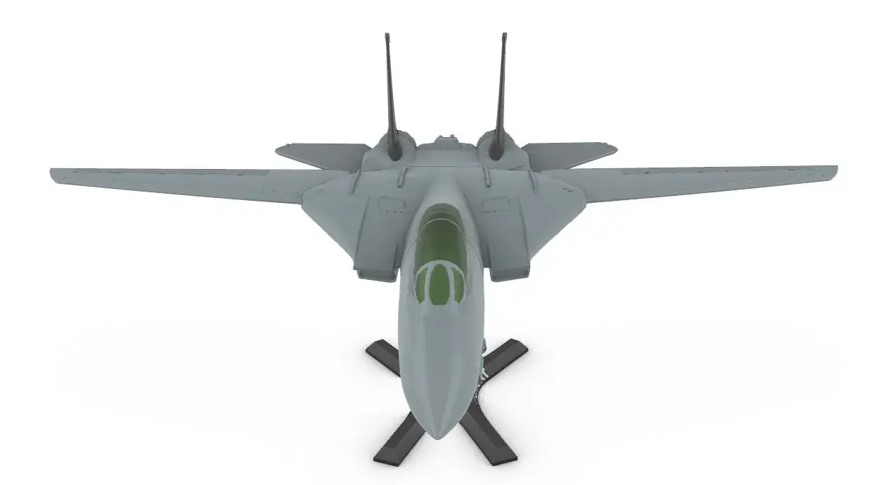 F-14 Tomcat 1:48 (wing movable)