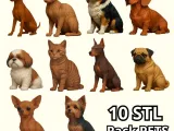 Pack Pet-0