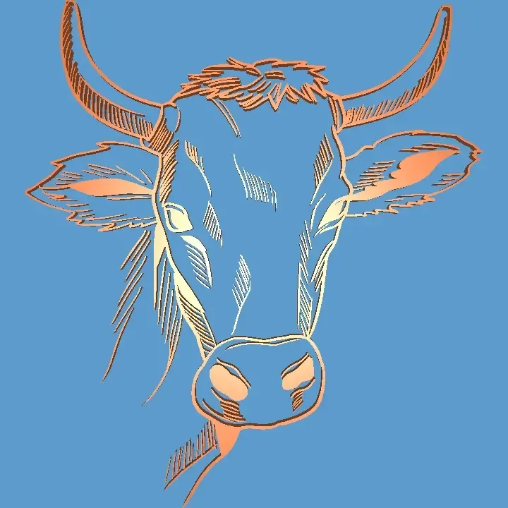 vaca
