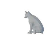 Low Poly Fox-3