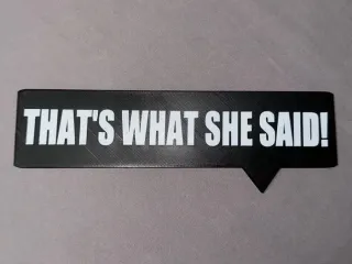 “That’s What She Said” sign