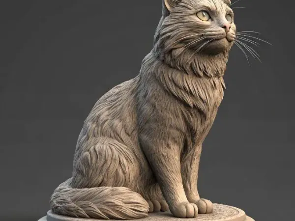 gato casero