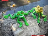 PRINT-IN-PLACE FLEXI TOAD ARTICULATED-1