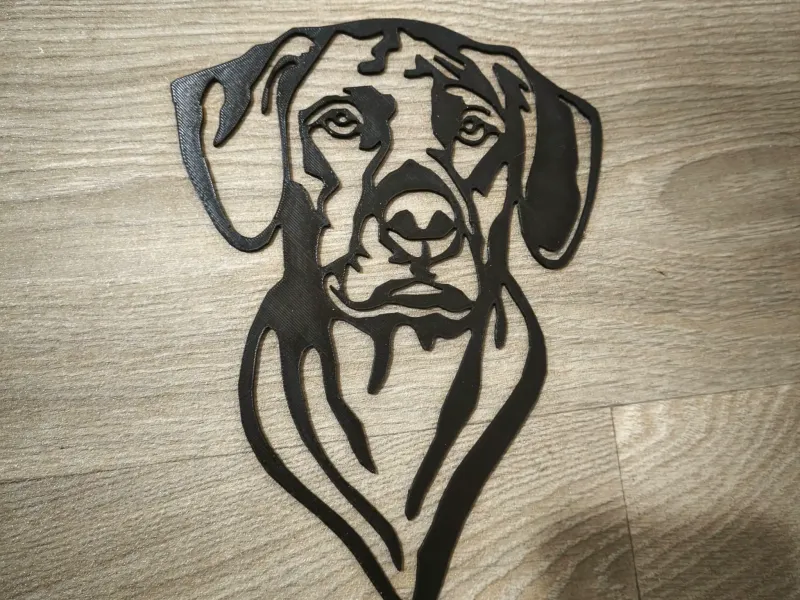 Rhodesian Ridgeback