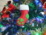 Paw Sock-2