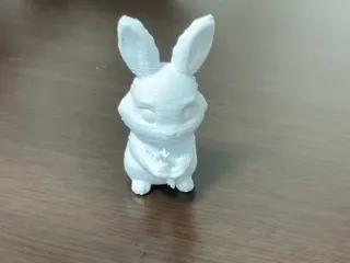 Rabbit
