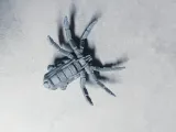 Mecha Spider Bot-9