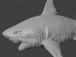 🦈 Megalodon Shark 3D Model