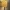 Twisted Lamp Shade