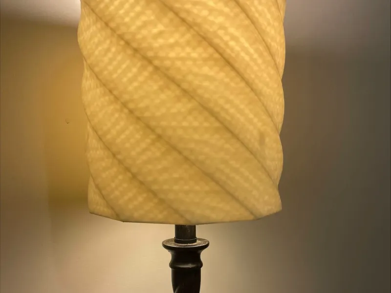 Twisted Lamp Shade