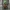Edrio Two Tubes minifigure star wars custom