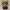 Lobisomem Action Figure Fofo Halloween