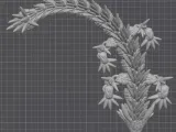 Spiked Basilisk Dragon-9
