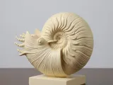 Nautilus-1