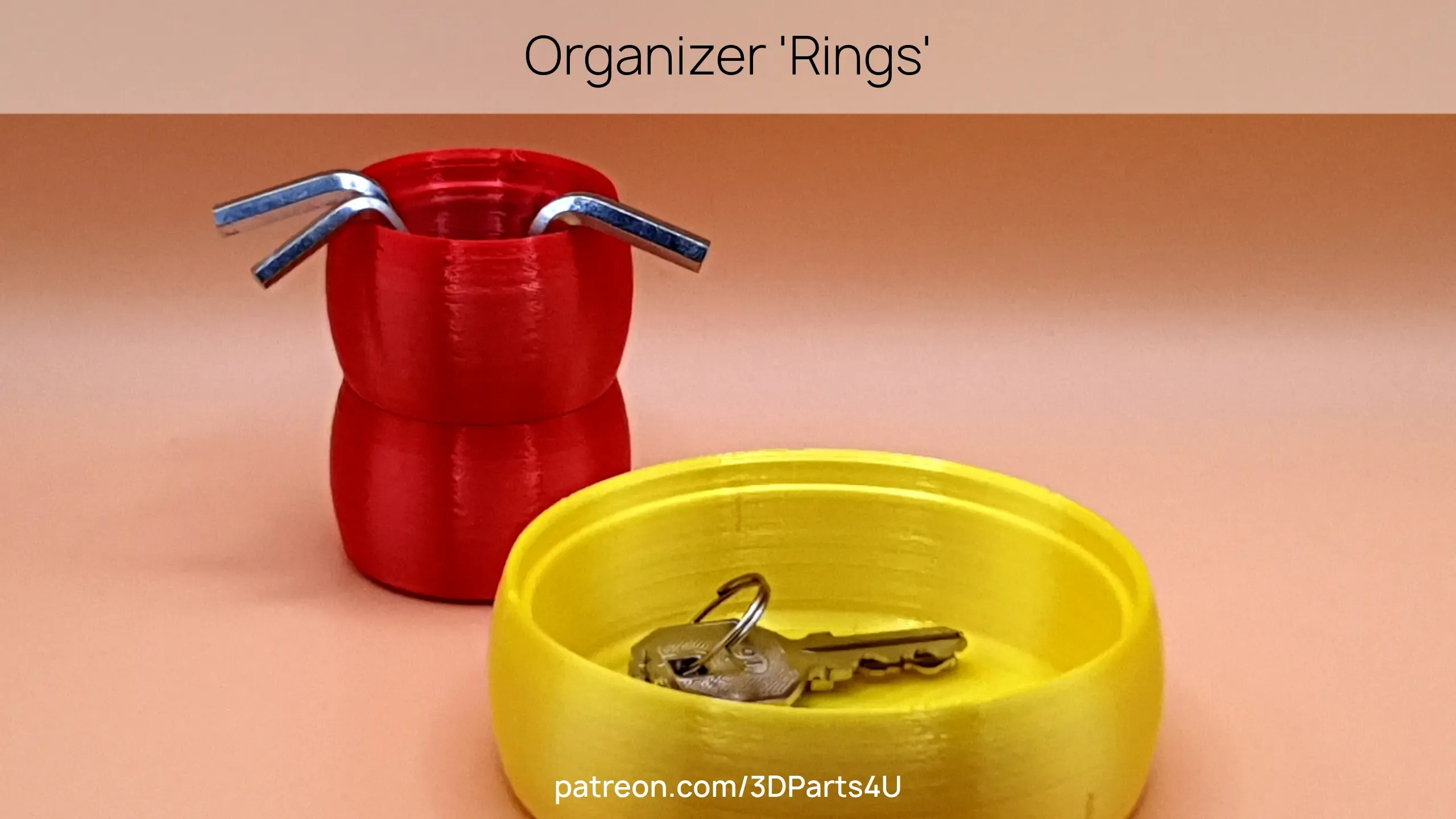 2023-3_Organizer 'Rings'